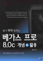 (필이 팍팍 꽂히는)베가스 프로 8.0c: 개념+활용