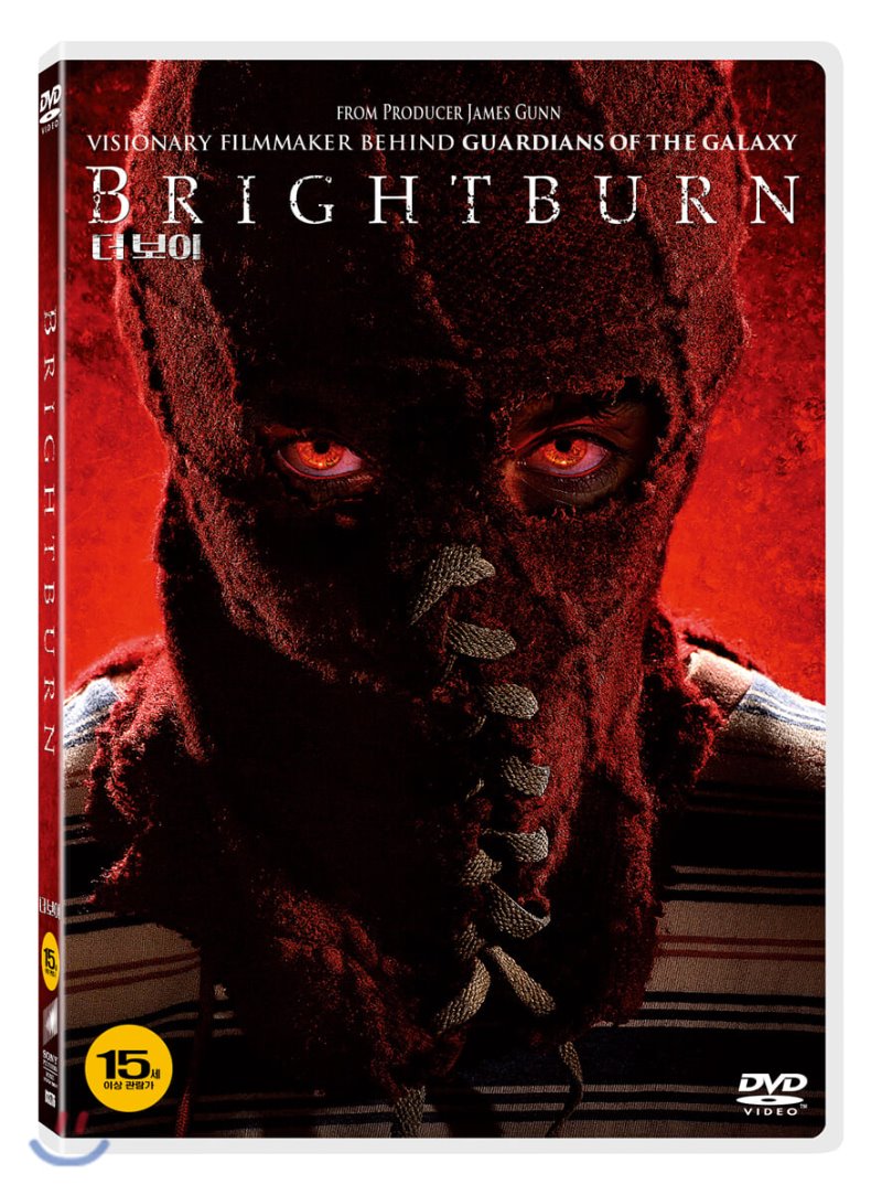 더 보이 [DVD 자료]