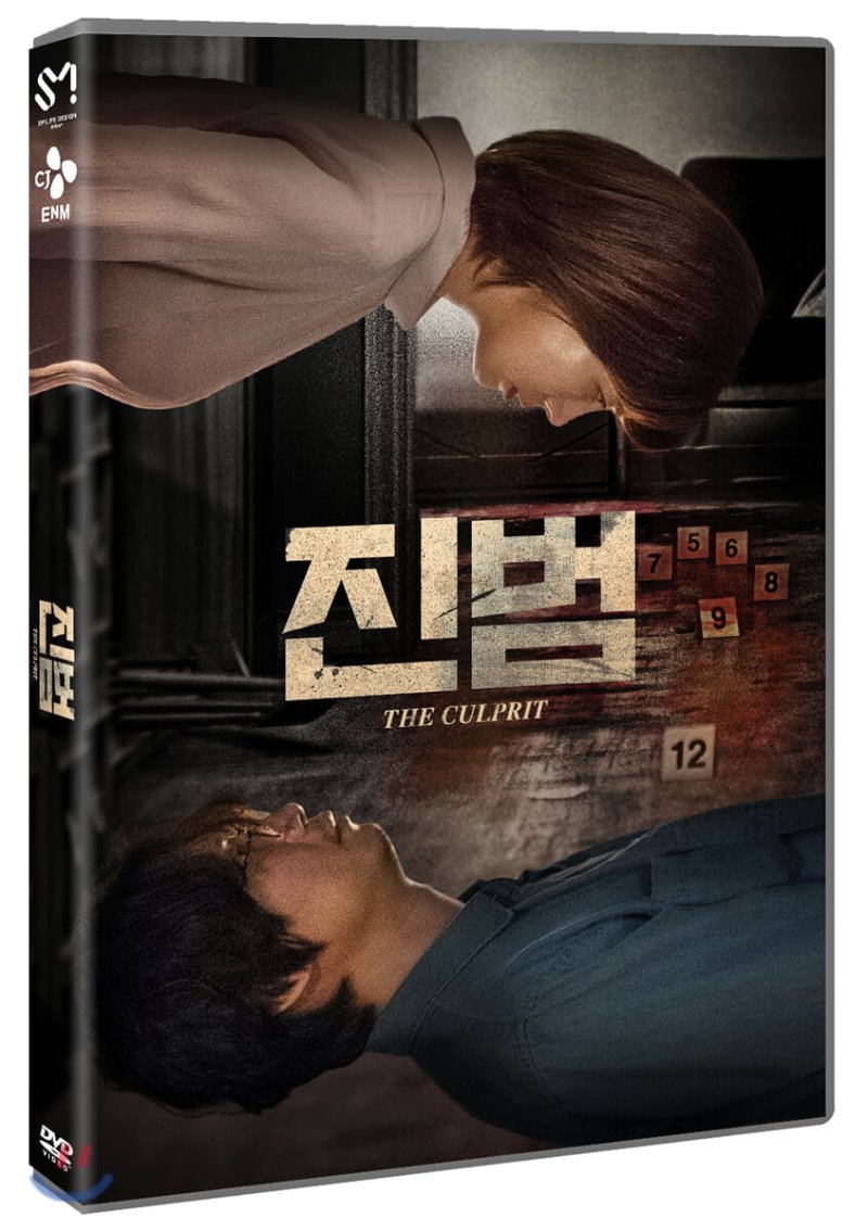 진범 [DVD 자료] = The culprit