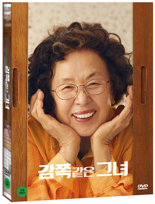 감쪽같은 그녀 [DVD 자료]